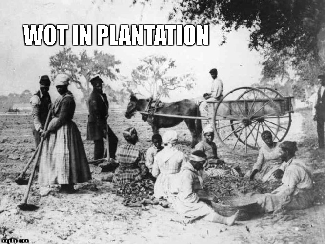 plantation black | WOT IN PLANTATION | image tagged in plantation black | made w/ Imgflip meme maker