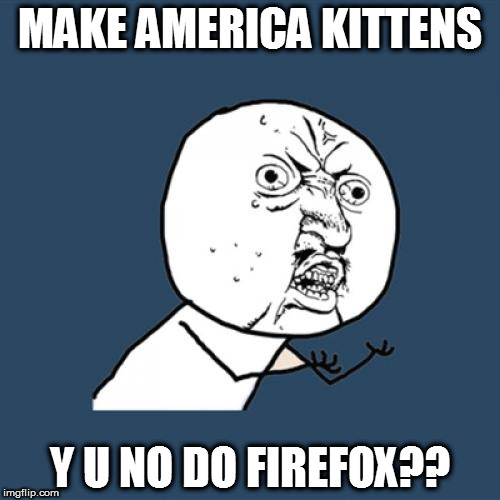 Y U No | MAKE AMERICA KITTENS; Y U NO DO FIREFOX?? | image tagged in memes,y u no | made w/ Imgflip meme maker