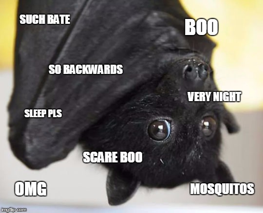 Bate | SUCH BATE; BOO; SO BACKWARDS; VERY NIGHT; SLEEP PLS; SCARE BOO; MOSQUITOS; OMG | image tagged in bate,doge,wow,much wow,boo,scare boo | made w/ Imgflip meme maker