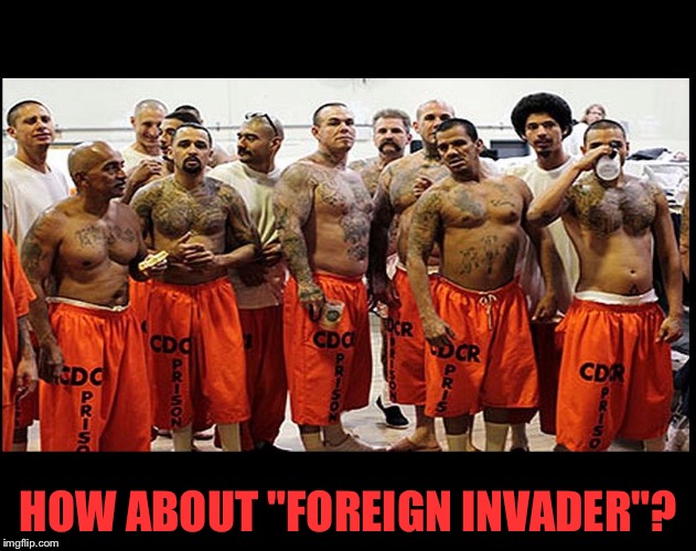 Illegal Aliens for Real | HOW ABOUT "FOREIGN INVADER"? | image tagged in illegal aliens for real | made w/ Imgflip meme maker