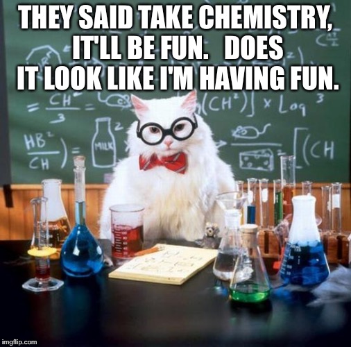 Chemistry Cat Meme | THEY SAID TAKE CHEMISTRY, IT'LL BE FUN.   DOES IT LOOK LIKE I'M HAVING FUN. | image tagged in memes,chemistry cat | made w/ Imgflip meme maker