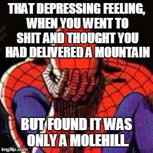 Just for Laughs | THAT DEPRESSING FEELING, WHEN YOU WENT TO SHIT AND THOUGHT YOU HAD DELIVERED A MOUNTAIN; BUT FOUND IT WAS ONLY A MOLEHILL. | image tagged in memes,toilet humor,humor | made w/ Imgflip meme maker