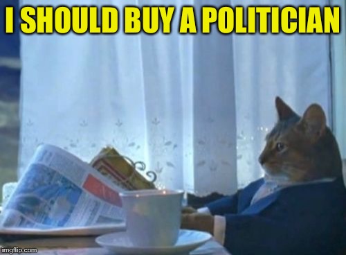 I Should Buy A Boat Cat Meme | I SHOULD BUY A POLITICIAN | image tagged in memes,i should buy a boat cat | made w/ Imgflip meme maker