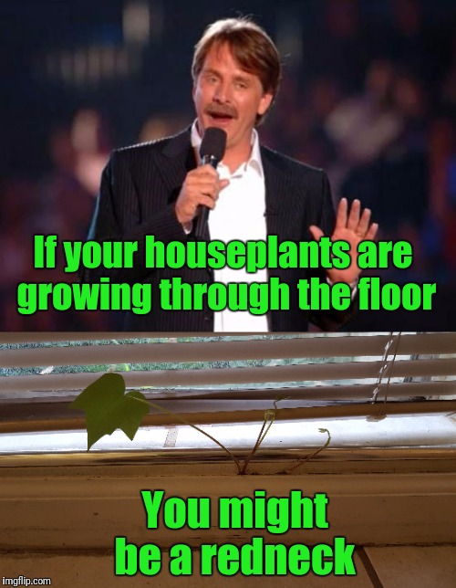 Redneck Houseplants | If your houseplants are growing through the floor; You might be a redneck | image tagged in redneck | made w/ Imgflip meme maker