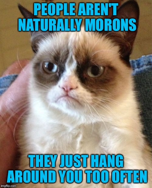 Grumpy Cat | PEOPLE AREN'T NATURALLY MORONS; THEY JUST HANG AROUND YOU TOO OFTEN | image tagged in memes,grumpy cat | made w/ Imgflip meme maker