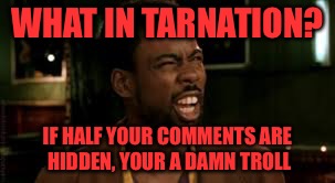 Chris Rock - What? | WHAT IN TARNATION? IF HALF YOUR COMMENTS ARE HIDDEN, YOUR A DAMN TROLL | image tagged in chris rock - what | made w/ Imgflip meme maker