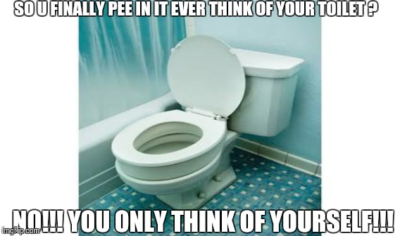Toilet | SO U FINALLY PEE IN IT EVER THINK OF YOUR TOILET ? NO!!! YOU ONLY THINK OF YOURSELF!!! | image tagged in funny memes,toilet humor | made w/ Imgflip meme maker