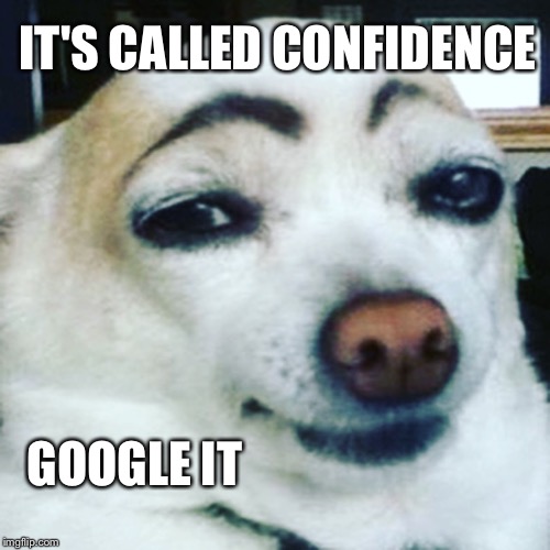 Be You  | IT'S CALLED CONFIDENCE; GOOGLE IT | image tagged in confidence,funny,dogs,makeup | made w/ Imgflip meme maker