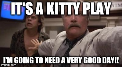 IT'S A KITTY PLAY; I'M GOING TO NEED A VERY GOOD DAY!! | image tagged in untitled | made w/ Imgflip meme maker