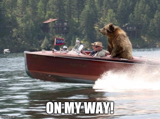 Bear on a boat | ON MY WAY! | image tagged in bear on a boat | made w/ Imgflip meme maker