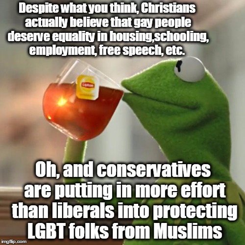 But That's None Of My Business Meme | Despite what you think, Christians actually believe that gay people deserve equality in housing,schooling, employment, free speech, etc. Oh, and conservatives are putting in more effort than liberals into protecting LGBT folks from Muslims | image tagged in memes,but thats none of my business,kermit the frog,conservatives,liberal vs conservative,gay rights | made w/ Imgflip meme maker
