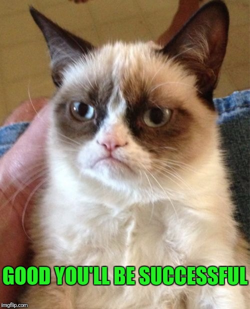 Grumpy Cat Meme | GOOD YOU'LL BE SUCCESSFUL | image tagged in memes,grumpy cat | made w/ Imgflip meme maker