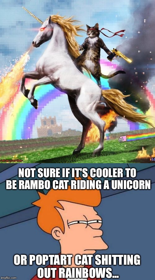 NOT SURE IF IT'S COOLER TO BE RAMBO CAT RIDING A UNICORN; OR POPTART CAT SHITTING OUT RAINBOWS... | image tagged in funny,futurama fry | made w/ Imgflip meme maker