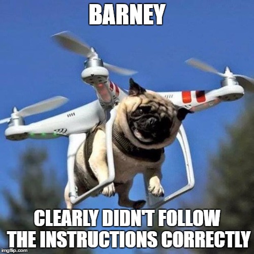 Flying Pug | BARNEY; CLEARLY DIDN'T FOLLOW THE INSTRUCTIONS CORRECTLY | image tagged in flying pug | made w/ Imgflip meme maker