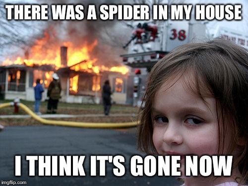 Disaster Girl | THERE WAS A SPIDER IN MY HOUSE; I THINK IT'S GONE NOW | image tagged in memes,disaster girl | made w/ Imgflip meme maker