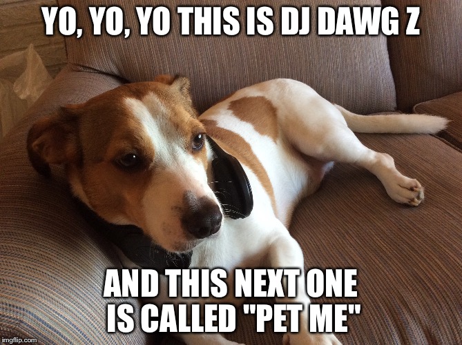 D.j Dawg z | YO, YO, YO THIS IS DJ DAWG Z; AND THIS NEXT ONE IS CALLED "PET ME" | image tagged in d | made w/ Imgflip meme maker