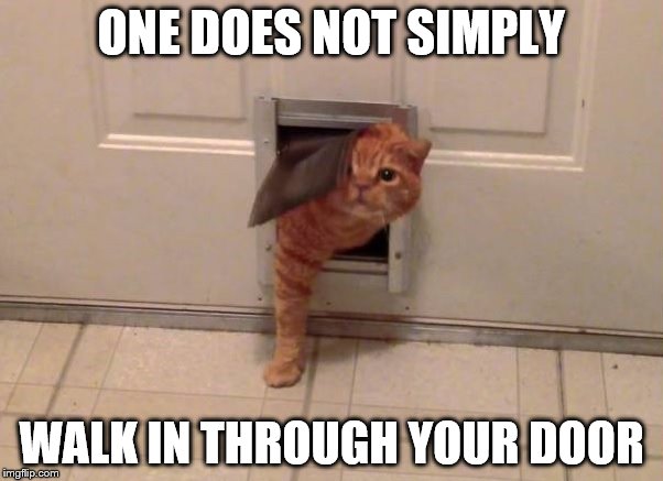 Famous memes re-enacted by cats: a pathetic attempt to boost my popularity |  ONE DOES NOT SIMPLY; WALK IN THROUGH YOUR DOOR | image tagged in catflap,famous memes reenacted by cats,funny memes | made w/ Imgflip meme maker