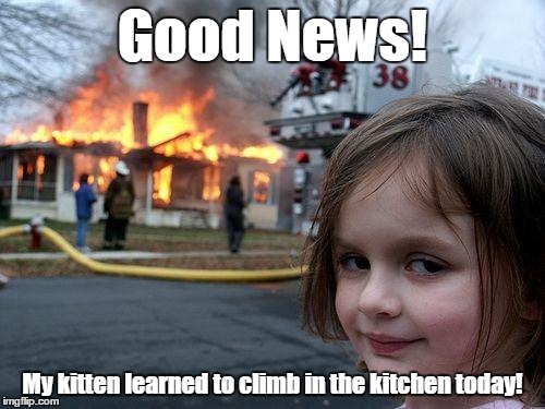 Disaster Girl | Good News! My kitten learned to climb in the kitchen today! | image tagged in memes,disaster girl | made w/ Imgflip meme maker
