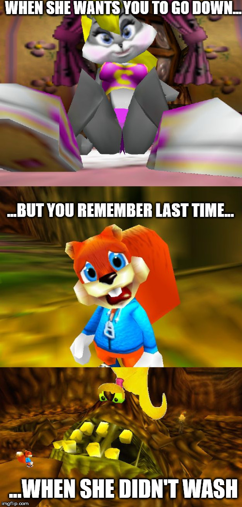 WHEN SHE WANTS YOU TO GO DOWN... ...BUT YOU REMEMBER LAST TIME... ...WHEN SHE DIDN'T WASH | image tagged in conker's worse fur day | made w/ Imgflip meme maker