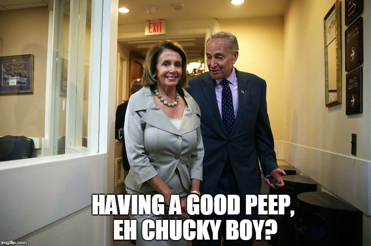 I Just Made You Barf? |  HAVING A GOOD PEEP, EH CHUCKY BOY? | image tagged in pelosi,schumer,peep | made w/ Imgflip meme maker