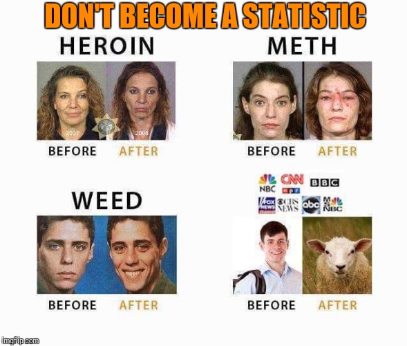 Sheeple | DON'T BECOME A STATISTIC | image tagged in memes | made w/ Imgflip meme maker