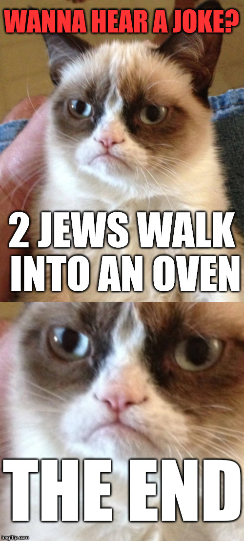 Hitler Week (An OlympianProduct Event) | WANNA HEAR A JOKE? 2 JEWS WALK INTO AN OVEN; THE END | image tagged in olympianproduct,hitler week,memes,sarcasm,funny,politics | made w/ Imgflip meme maker