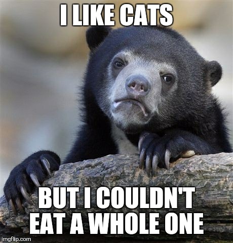 Confession Bear Meme | I LIKE CATS BUT I COULDN'T EAT A WHOLE ONE | image tagged in memes,confession bear | made w/ Imgflip meme maker
