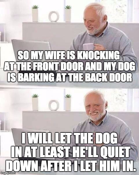 Hide the Pain Harold Meme | SO MY WIFE IS KNOCKING AT THE FRONT DOOR AND MY DOG IS BARKING AT THE BACK DOOR; I WILL LET THE DOG IN AT LEAST HE'LL QUIET DOWN AFTER I LET HIM IN. | image tagged in memes,hide the pain harold | made w/ Imgflip meme maker