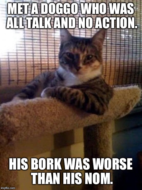 interesting cat | MET A DOGGO WHO WAS ALL TALK AND NO ACTION. HIS BORK WAS WORSE THAN HIS NOM. | image tagged in interesting cat | made w/ Imgflip meme maker