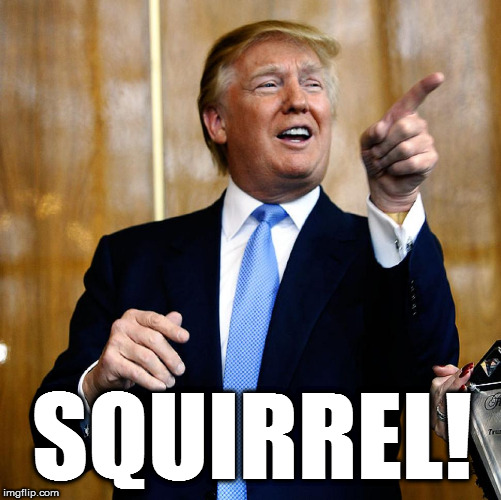 Donal Trump Birthday | SQUIRREL! | image tagged in donal trump birthday | made w/ Imgflip meme maker