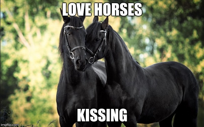 LOVE HORSES; KISSING | made w/ Imgflip meme maker