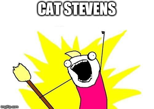 X All The Y Meme | CAT STEVENS | image tagged in memes,x all the y | made w/ Imgflip meme maker