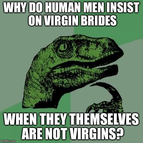 Philosoraptor Meme | WHY DO HUMAN MEN INSIST ON VIRGIN BRIDES; WHEN THEY THEMSELVES ARE NOT VIRGINS? | image tagged in memes,philosoraptor | made w/ Imgflip meme maker