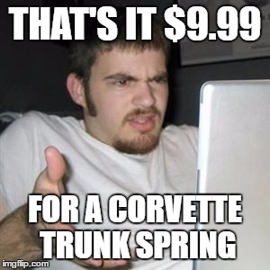 Guy on Computer | THAT'S IT $9.99; FOR A CORVETTE TRUNK SPRING | image tagged in guy on computer | made w/ Imgflip meme maker