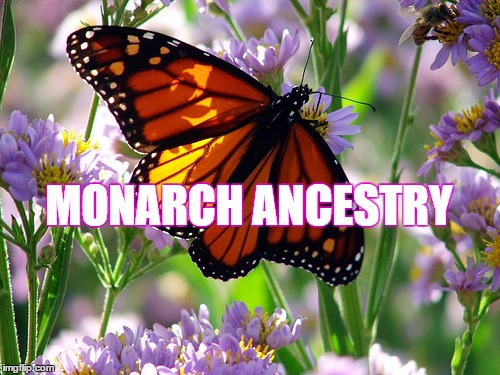 Monarch Ancestry | MONARCH ANCESTRY | image tagged in family,business | made w/ Imgflip meme maker