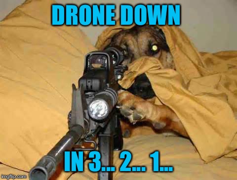 Sniper Dog | DRONE DOWN IN 3... 2... 1... | image tagged in sniper dog | made w/ Imgflip meme maker