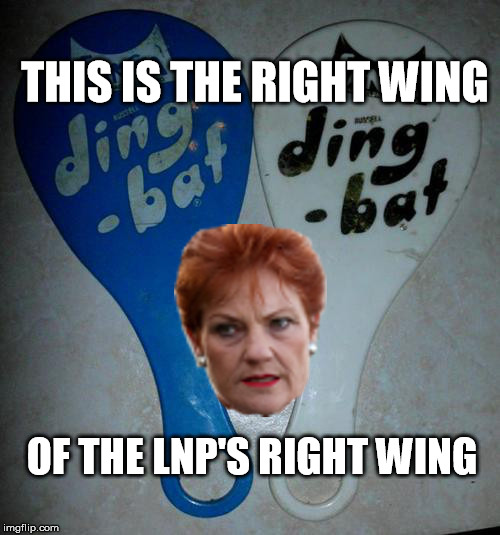 THIS IS THE RIGHT WING; OF THE LNP'S RIGHT WING | image tagged in pauline hanson | made w/ Imgflip meme maker
