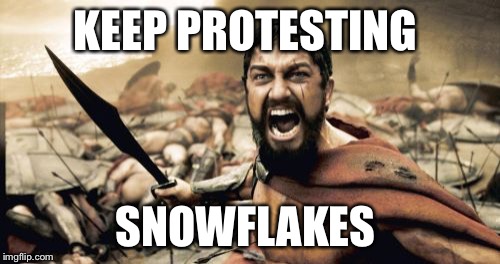 Keep Protesting  | KEEP PROTESTING; SNOWFLAKES | image tagged in memes,sparta leonidas | made w/ Imgflip meme maker