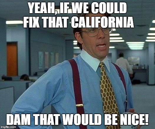 Hmmm...I see what you did there. | YEAH, IF WE COULD FIX THAT CALIFORNIA; DAM THAT WOULD BE NICE! | image tagged in memes,that would be great,california,damn | made w/ Imgflip meme maker