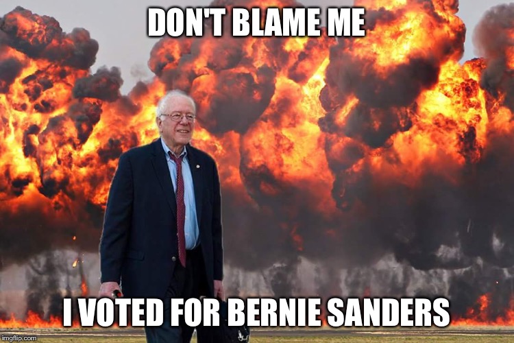 Bernie Sanders on Fire | DON'T BLAME ME; I VOTED FOR BERNIE SANDERS | image tagged in bernie sanders on fire | made w/ Imgflip meme maker
