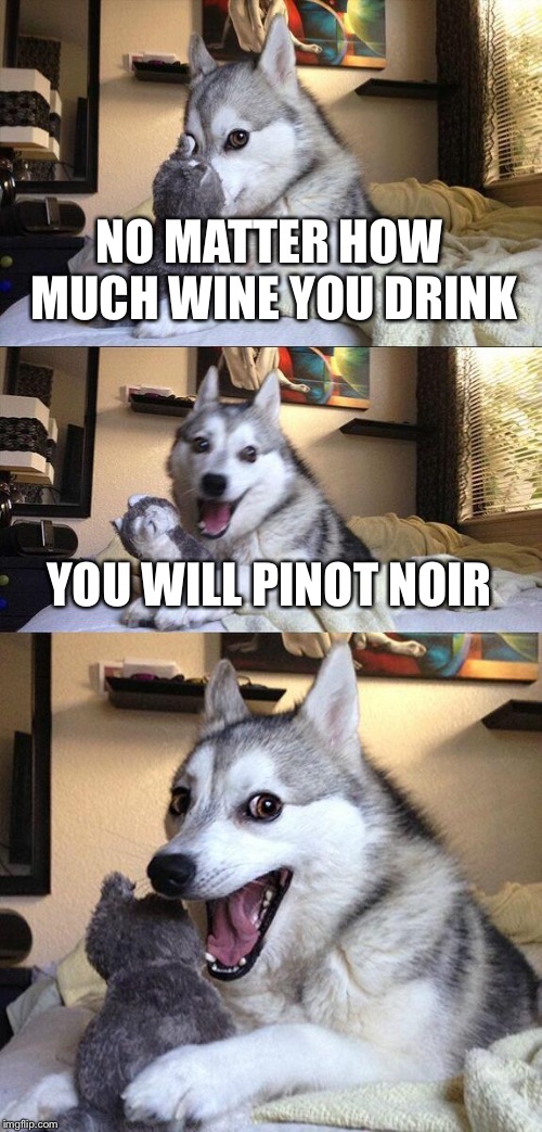Bad Pun Dog Meme | NO MATTER HOW MUCH WINE YOU DRINK; YOU WILL PINOT NOIR | image tagged in memes,bad pun dog | made w/ Imgflip meme maker