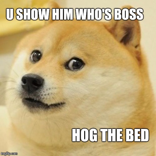 Doge Meme | U SHOW HIM WHO'S BOSS HOG THE BED | image tagged in memes,doge | made w/ Imgflip meme maker
