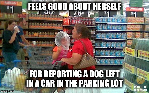 Gene pool sludge  | FEELS GOOD ABOUT HERSELF; FOR REPORTING A DOG LEFT IN A CAR IN THE PARKING LOT | image tagged in funny memes | made w/ Imgflip meme maker