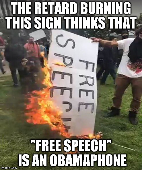 THE RETARD BURNING THIS SIGN THINKS THAT; "FREE SPEECH" IS AN OBAMAPHONE | image tagged in free speech | made w/ Imgflip meme maker