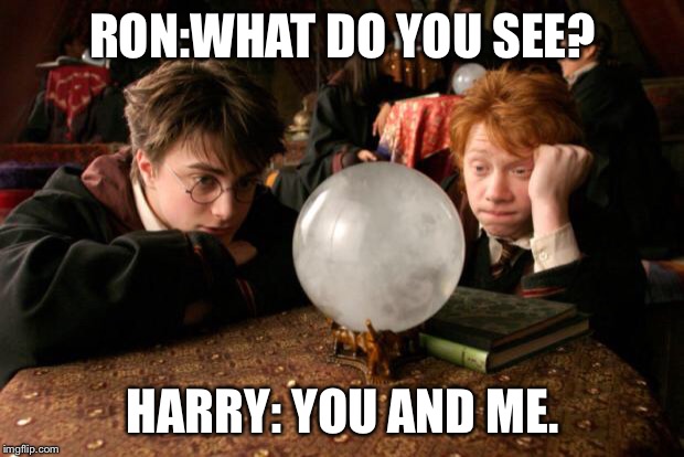 Harry Potter meme | RON:WHAT DO YOU SEE? HARRY: YOU AND ME. | image tagged in harry potter meme | made w/ Imgflip meme maker