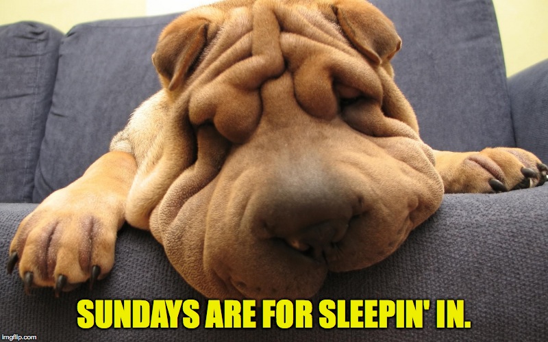 Sleepin' In :-) |  SUNDAYS ARE FOR SLEEPIN' IN. | image tagged in sundays | made w/ Imgflip meme maker