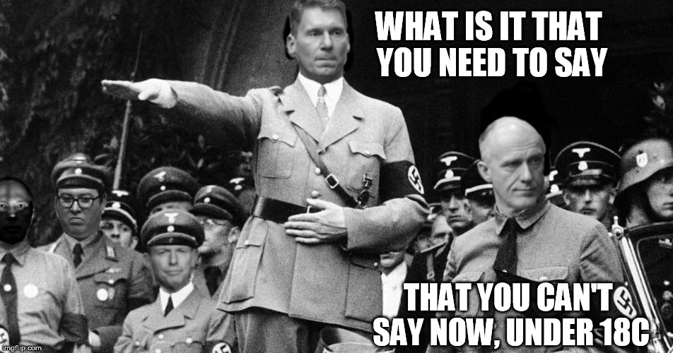 WHAT IS IT THAT YOU NEED TO SAY; THAT YOU CAN'T SAY NOW, UNDER 18C | image tagged in cory bernardi,18c,free speech | made w/ Imgflip meme maker