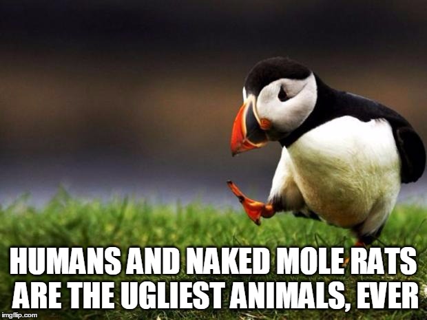 unpopular opinion penguin | HUMANS AND NAKED MOLE RATS ARE THE UGLIEST ANIMALS, EVER | image tagged in unpopular opinion penguin | made w/ Imgflip meme maker