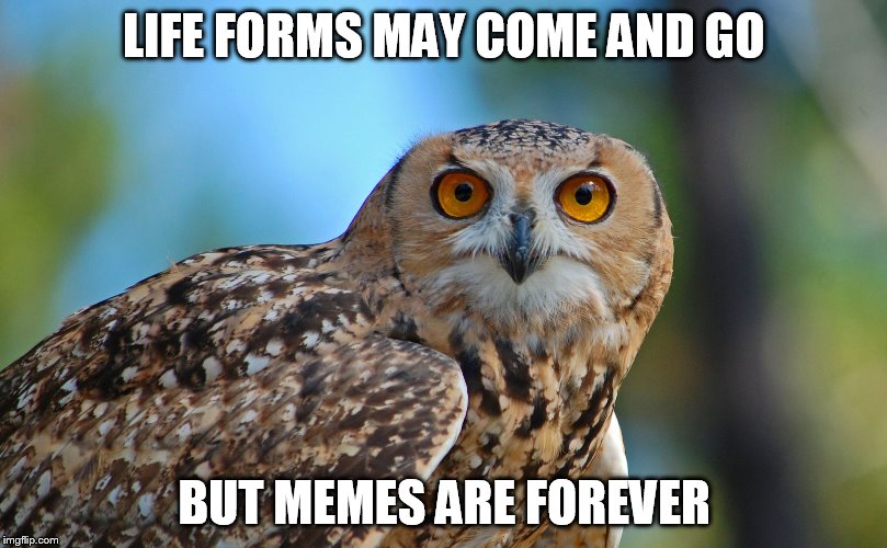LIFE FORMS MAY COME AND GO BUT MEMES ARE FOREVER | made w/ Imgflip meme maker