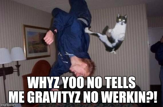 WHYZ YOO NO TELLS ME GRAVITYZ NO WERKIN?! | image tagged in gravity fail,memes,cat | made w/ Imgflip meme maker